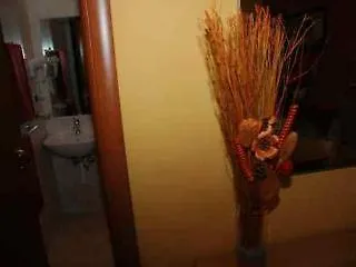 Hotel St Peter Bed In Roma Italia